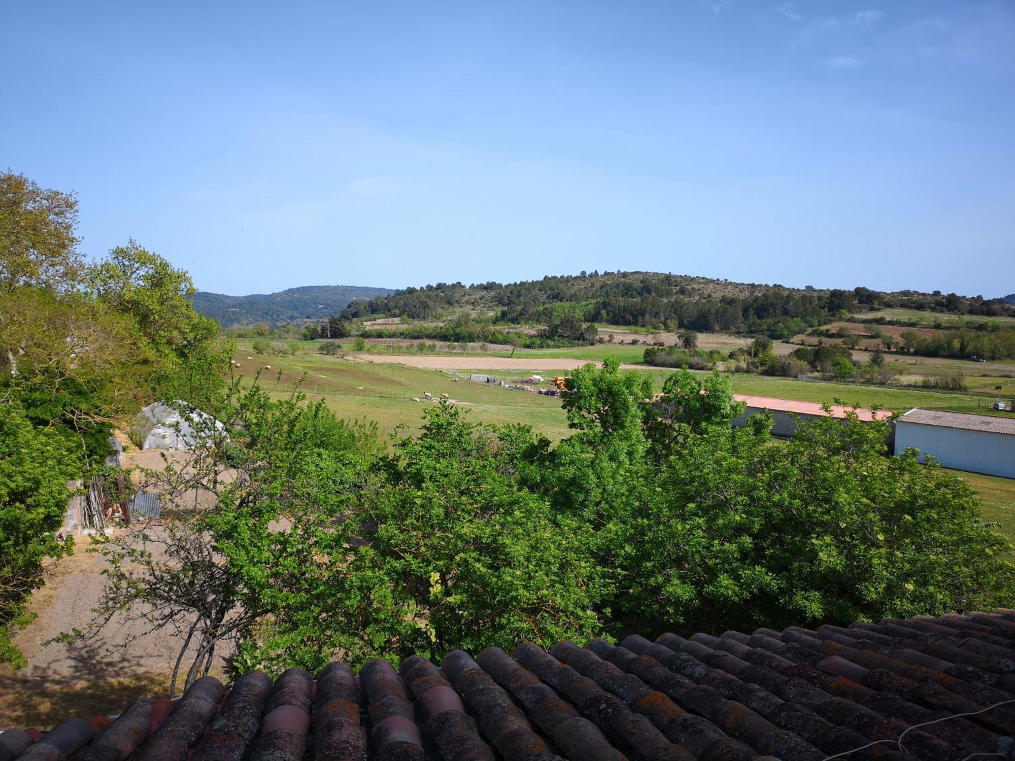 L'Ours Des Corbieres - Chambres D'Hotes Servies-en-Val Номер фото